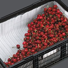 Cherries inside a black produce basket with foam protection.